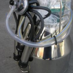 Secchio Mungitore 25 Litri