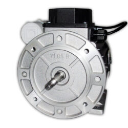 Motore Elettrico Monofase 1,2 Hp Albero Cilindrico File