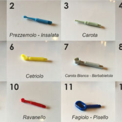 Seminatrice Manuale Microsemi 2 File Pony K 1.2 Regolab