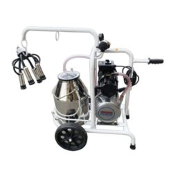 Mungitrice Bovini Elettrica Monofase Singolo Gruppo