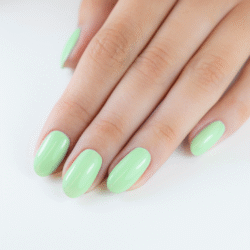 pn longwear 242 palmy days 10 ml pronails