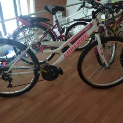 Bici MTB 26 donna 18 velocità