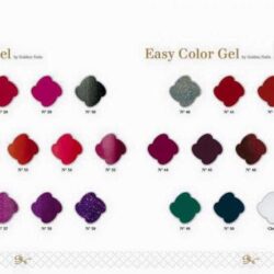 easy color gel by golden nails