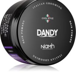 Cera per capelli Dandy niam