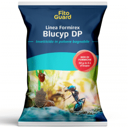 Insetticida Blucyp DP kg.1