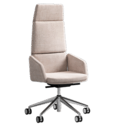 Poltrona PRESIDENZIALE