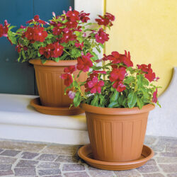 Vaso Venezia Ø cm 35