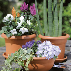 Ciotola Mediterraneo Diametro cm 25 Stefanplast