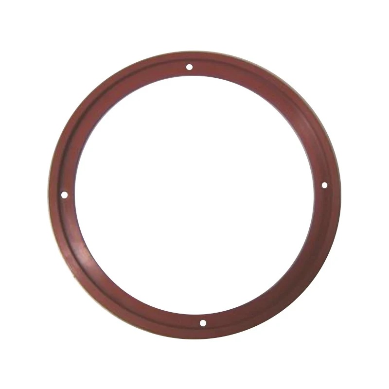 Guarnizione Anteriore aspiratore estrattore fumi di stufe