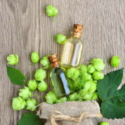 Estratto glicolico di luppolo