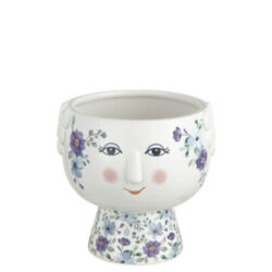 Vaso Flora fiori Blu