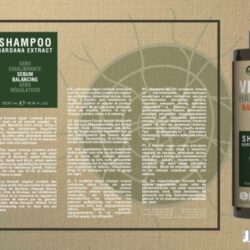 shampoo sebo equilibrante vegan envie