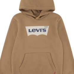 Felpa Marrone Cappuccio Bambino